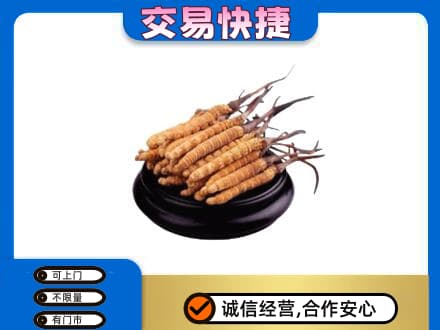 漯河回收冬虫夏草多少钱每克